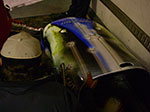 IMGP1255.jpg