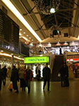 IMGP1262.jpg