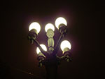 IMGP1311.jpg