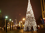 IMGP1408.jpg