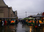 IMGP1488.jpg
