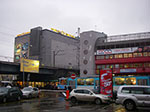 IMGP1494.jpg