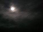 IMGP1521.jpg