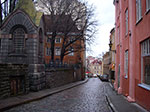 IMGP1635.jpg