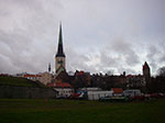IMGP1637.jpg