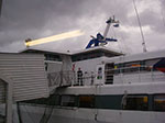 IMGP1648.jpg