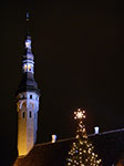 IMGP2078.jpg