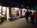 IMGP2083.jpg