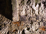 IMGP2086.jpg
