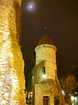 IMGP2113.jpg