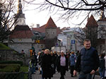 IMGP2123.jpg