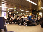 IMGP2163.jpg