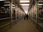 IMGP2172.jpg