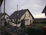 IMGP2178.jpg