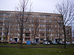 IMGP2187.jpg