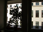 IMGP2311.jpg