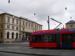 IMGP2324.jpg