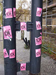 IMGP2354.jpg