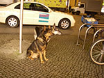 IMGP2448.jpg