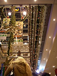 IMGP2492.jpg