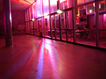 IMGP2542.jpg