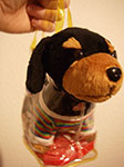 IMGP2555.jpg