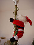 IMGP2557.jpg
