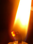 IMGP2628.jpg
