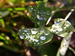 IMGP2652.jpg