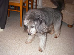 IMGP2754.jpg