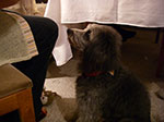 IMGP2770.jpg