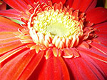 IMGP2848.jpg