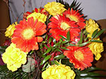 Photos