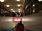IMGP2975.jpg