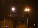 IMGP3037.jpg