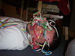IMGP3271.jpg