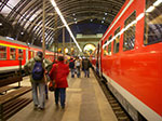 IMGP3387.jpg