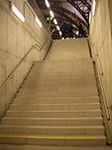 IMGP3393.jpg