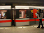 IMGP3398.jpg