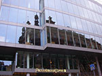 IMGP3435.jpg
