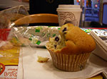 IMGP3438.jpg