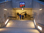 IMGP3446.jpg