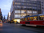 IMGP3449.jpg