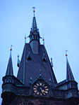 IMGP3452.jpg