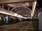 IMGP3454.jpg