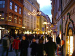 IMGP3462.jpg