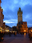 IMGP3470.jpg