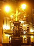 IMGP3524.jpg