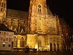 IMGP3559.jpg