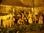 IMGP3565.jpg